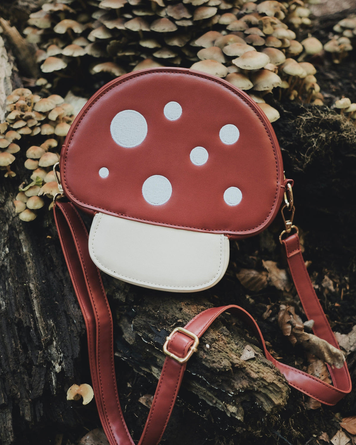 Mushroom bag