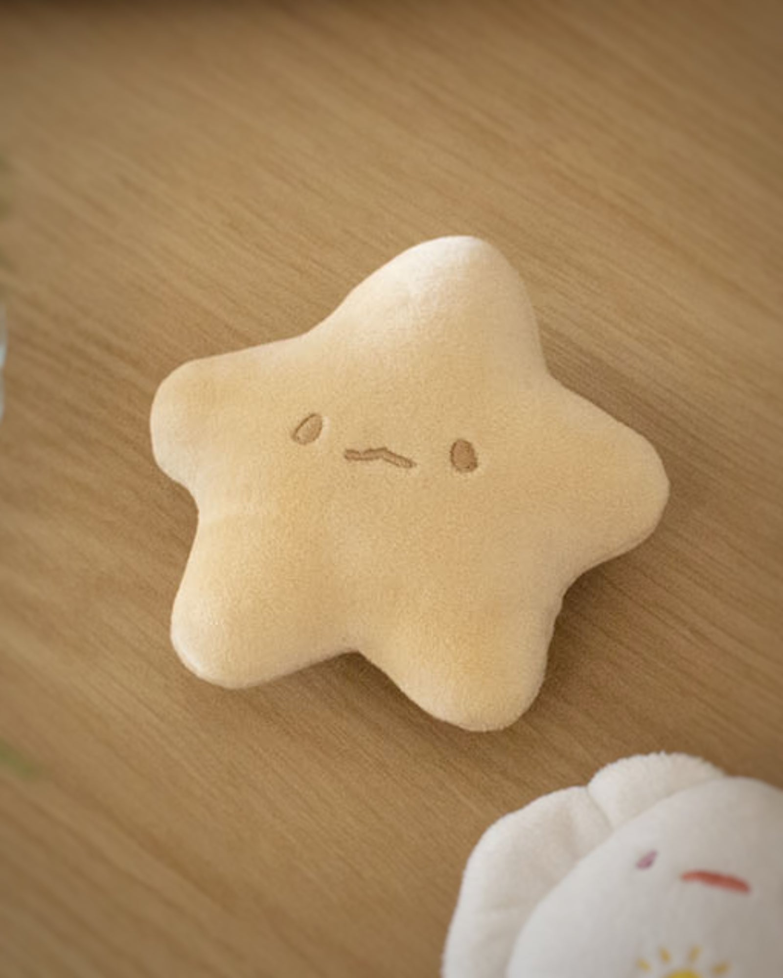 Starfish mini plushie