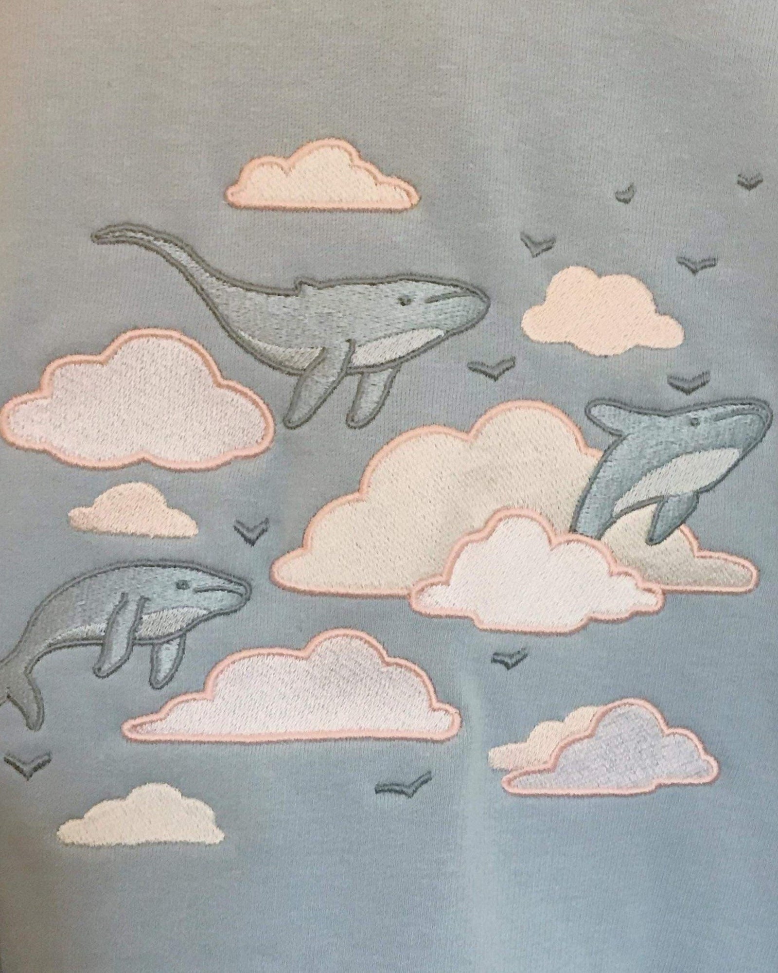 Sky whale hoodie