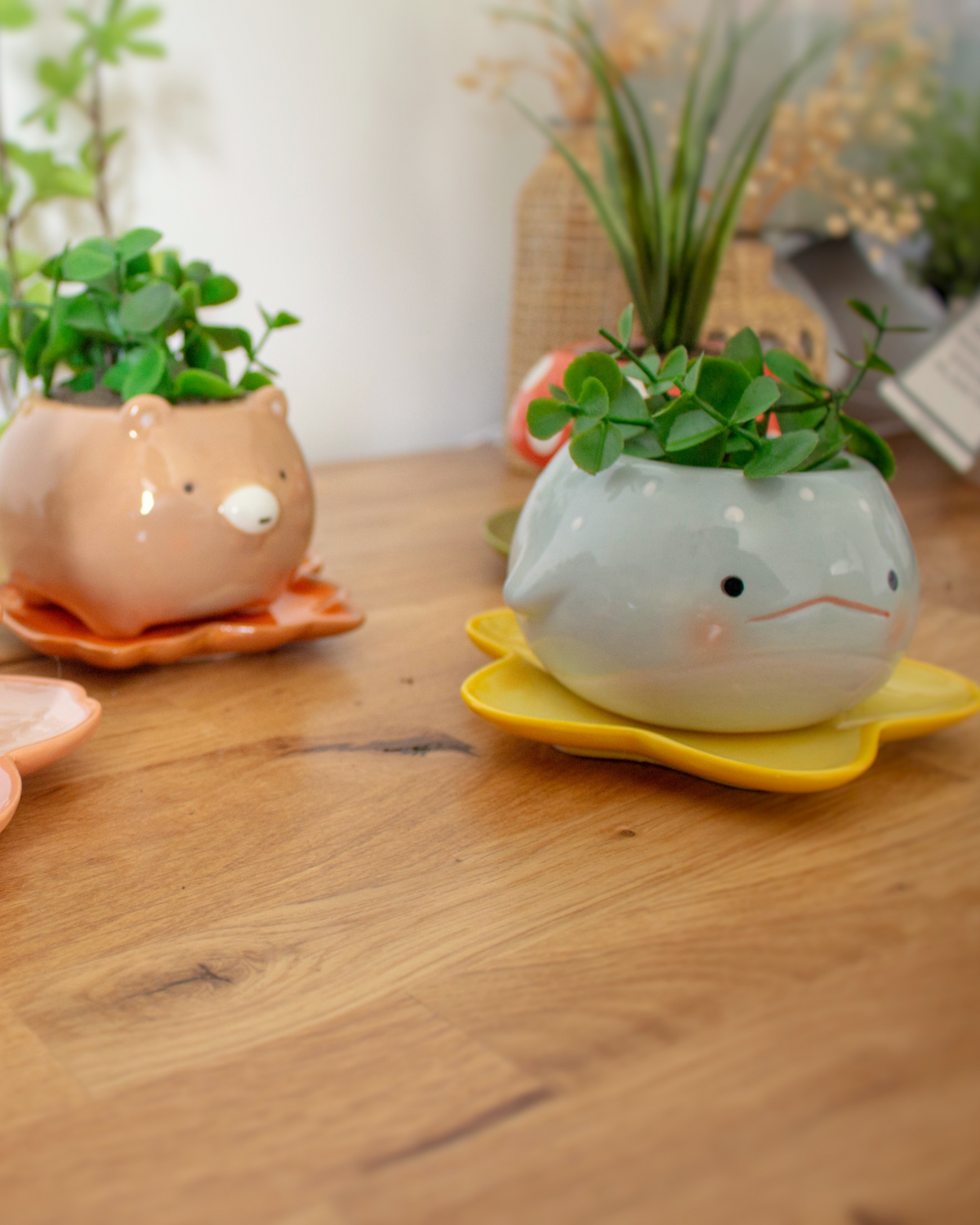 Whale planter