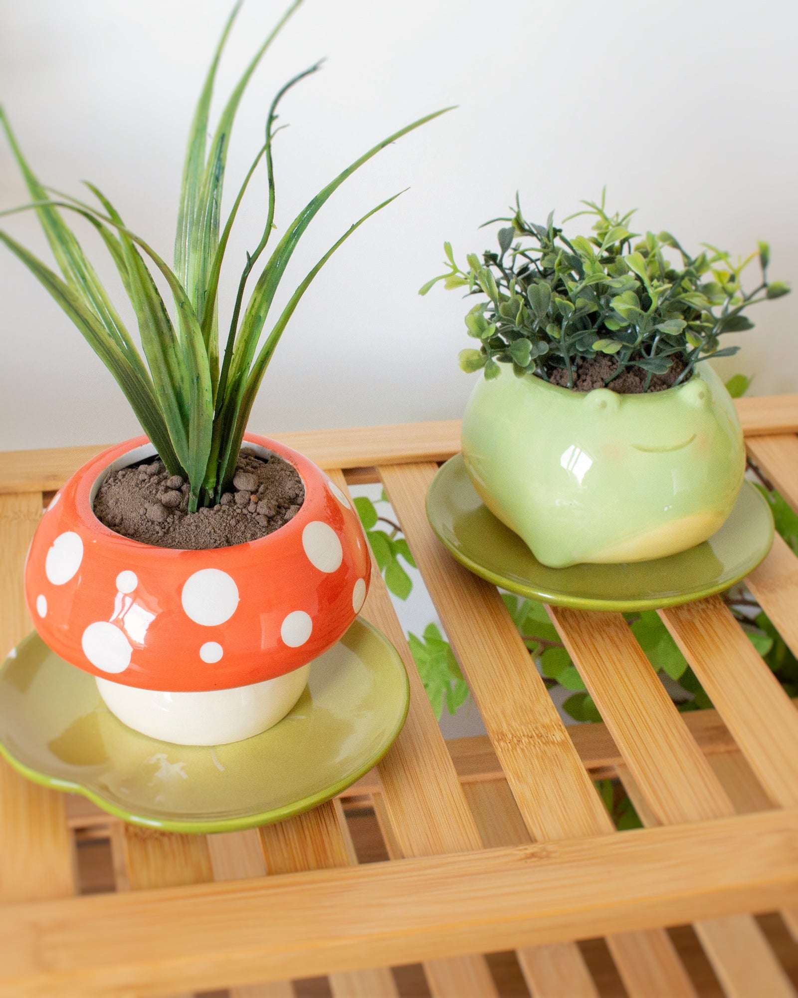 frog planter pots Frog planter