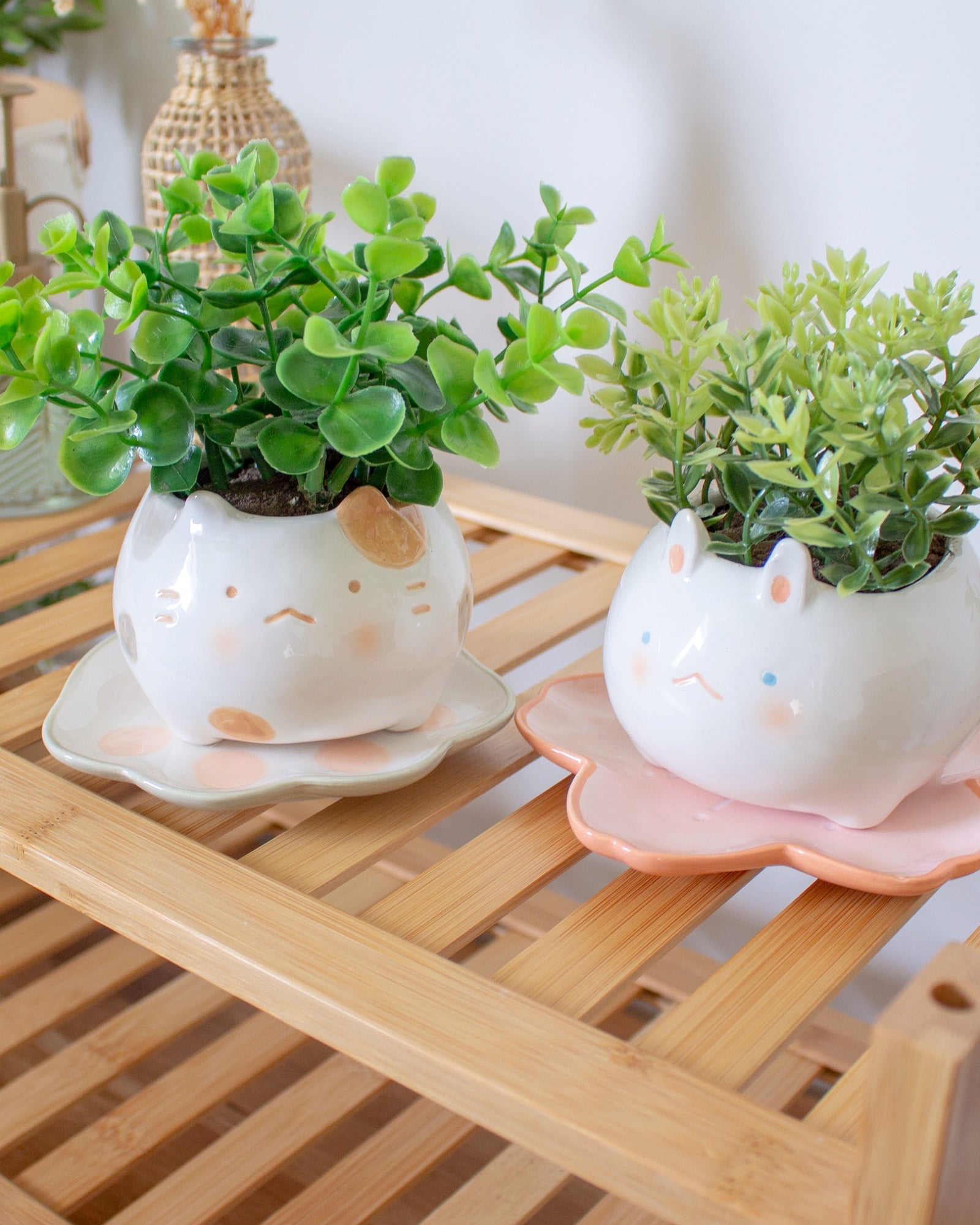 cute plant saucer Sakura saucer