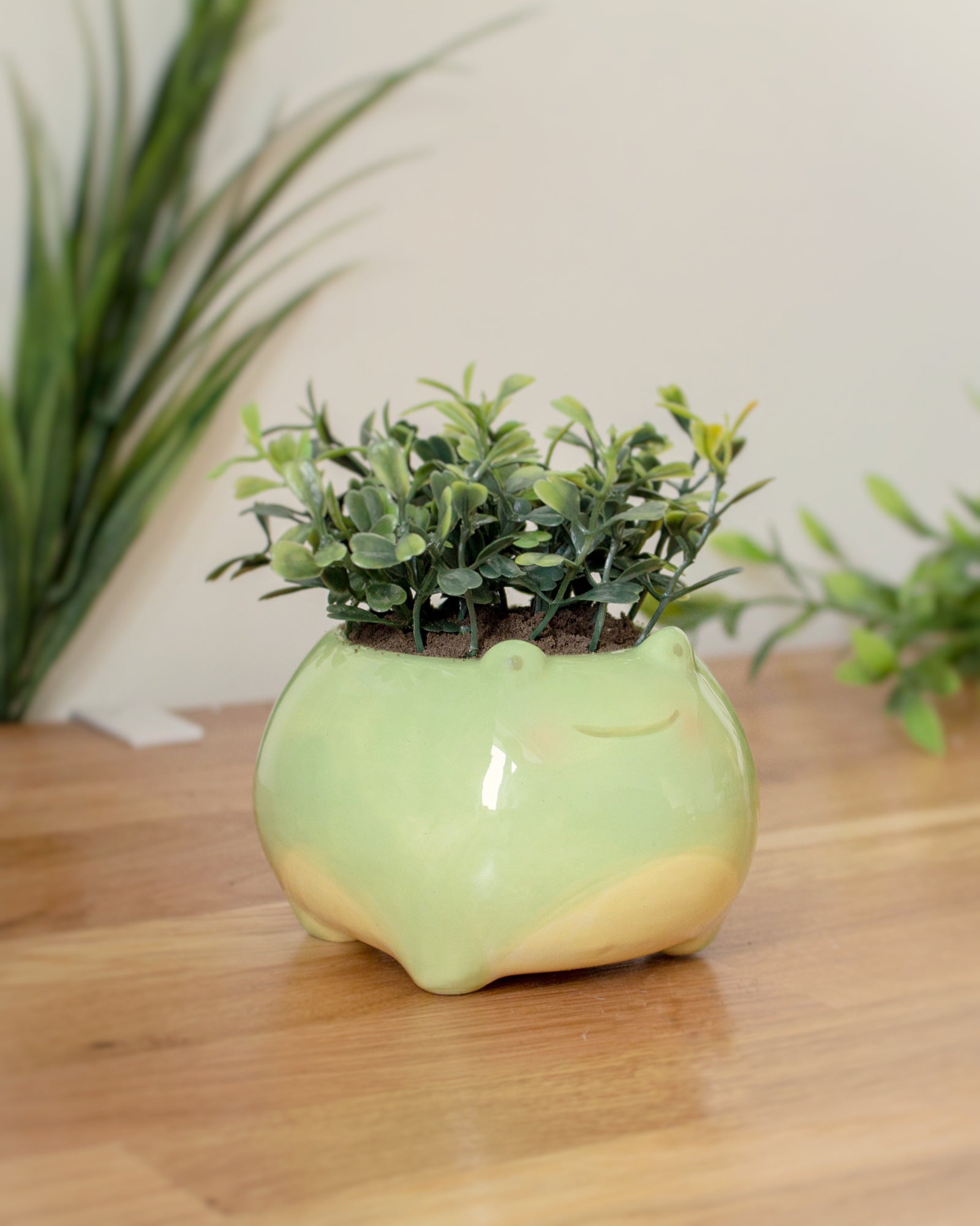 frog succulent Frog planter