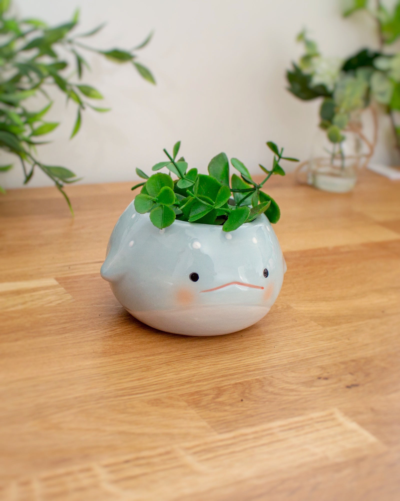 whale succulent planter Whale planter