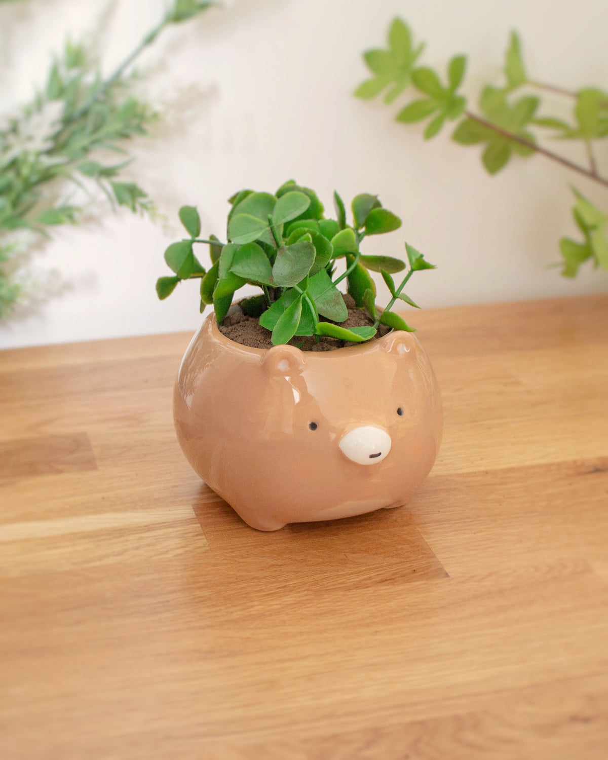 Bear planter