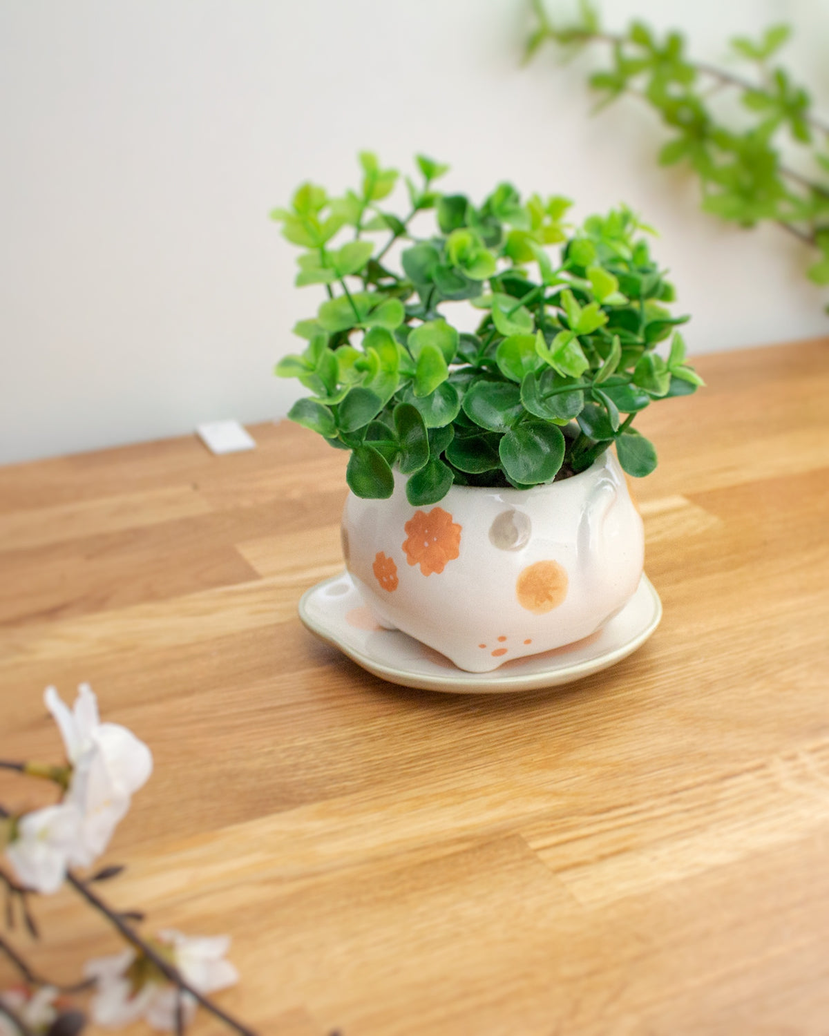Calico planter