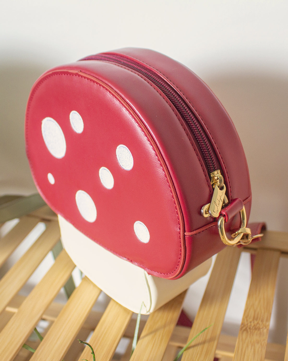 Mushroom bag